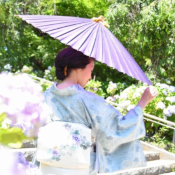 FullmyBijin Academy (FMBA) (ふる舞い美人アカデミー) 創設者・桜川舞、千葉県の本土寺にて紫陽花に囲まれる