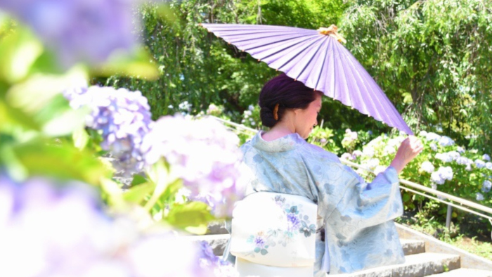 千葉県・本土寺にて、紫陽花に囲まれながら和傘を持ち着物姿でポーズをとる、 FullmyBijin Academy (FMBA) (ふる舞い美人アカデミー)　創設者の桜川舞